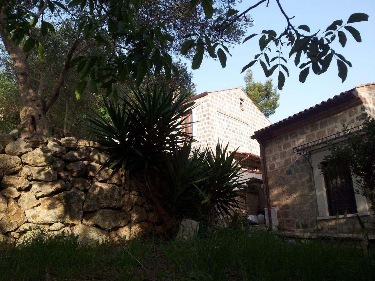 B&B Al Dosello Caserta Bagian luar foto